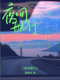 夜间航班飞行员视角